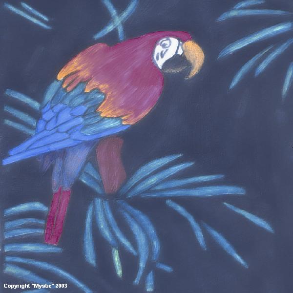 Macaw thing! O_o by Mangolious_kiwi