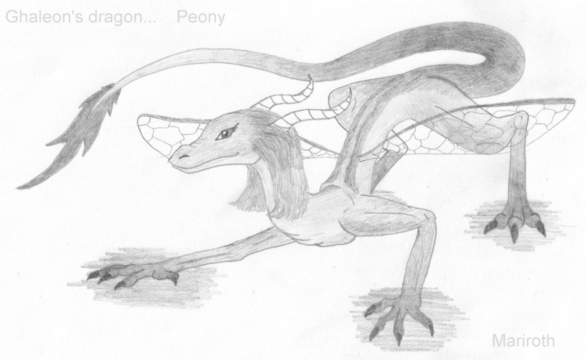 Ghaleon's dragon Peony by Mariroth