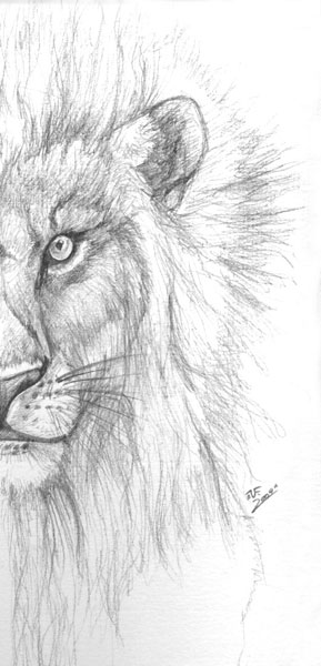 Lion face by Marvel