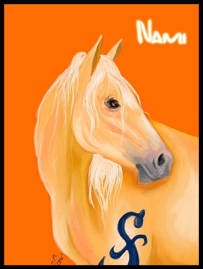 One Piece Horses - Nami by Marvel