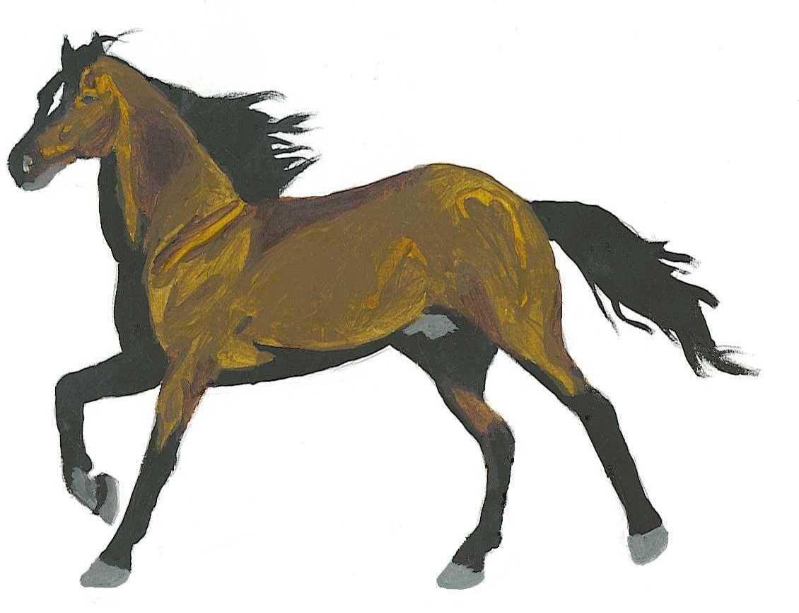 Bay Arabian Stallion by MasterOfTheWicked