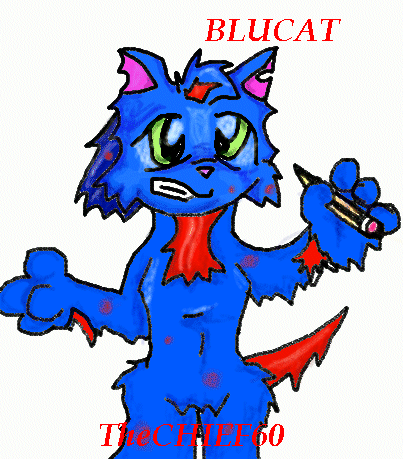 A Blucat by Master_Chief60