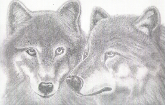 Wolves by Master_Karen