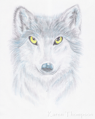 Wolf Portrait by Master_Karen