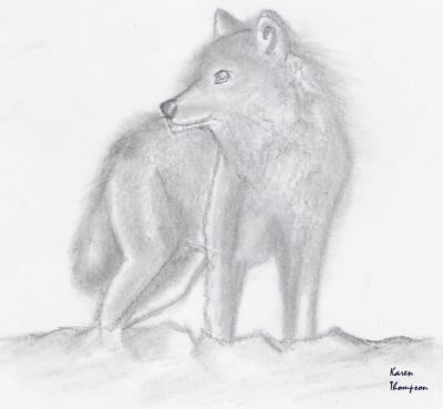 Grey Wolf by Master_Karen