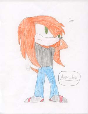 Joe the Echidna by Master_Tails