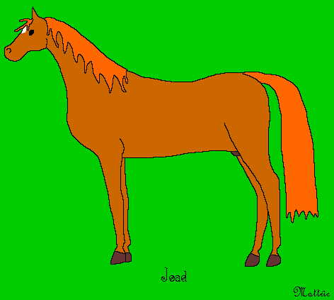 Joad (a horse) by Matteic