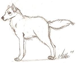 Wolfy by Mayhemn