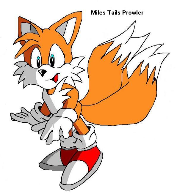 Tails by Megs-the-hedgehog