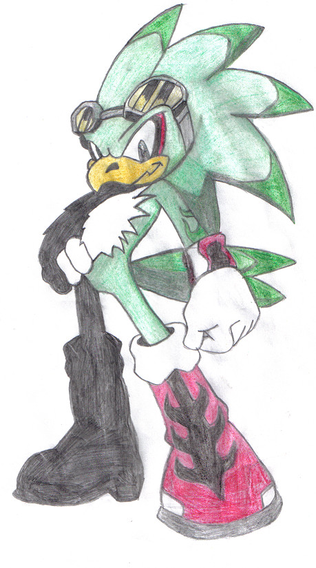Jet the hawk by Megs-the-hedgehog