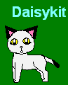 Daisykit by MeiMei