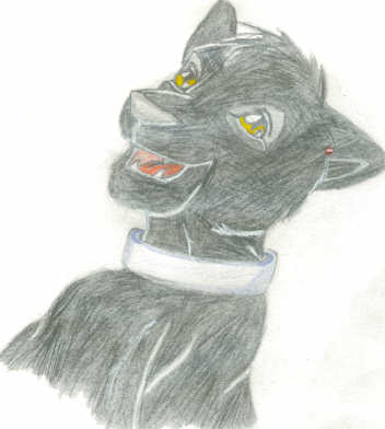 Sabin Ciro in Panther Form by MeiningKhushrenada