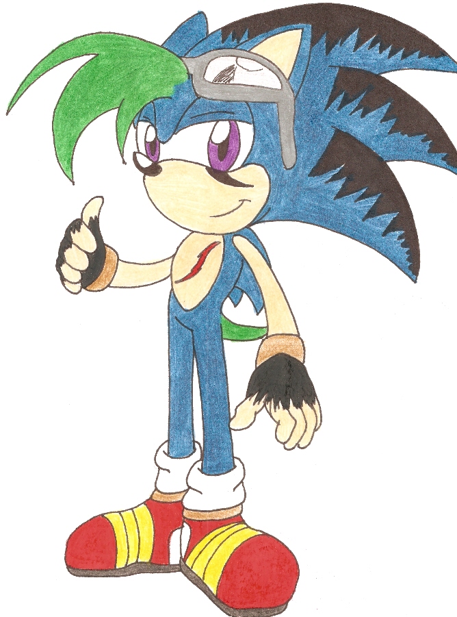 Cool Butch the Hedgehog by Melvintomm