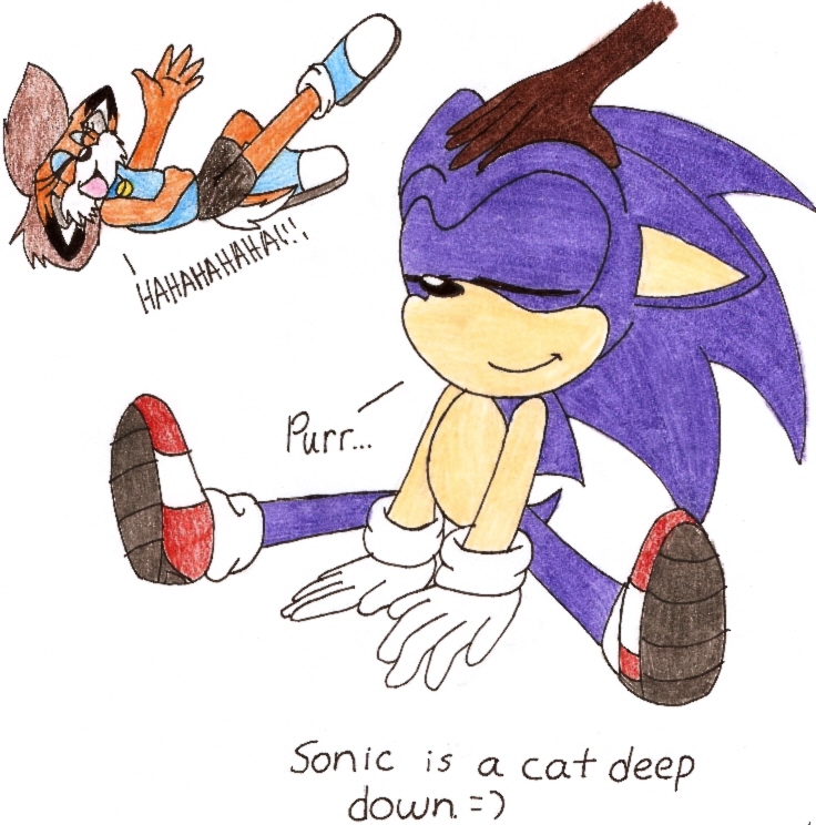Sonic is a Kitty by Melvintomm
