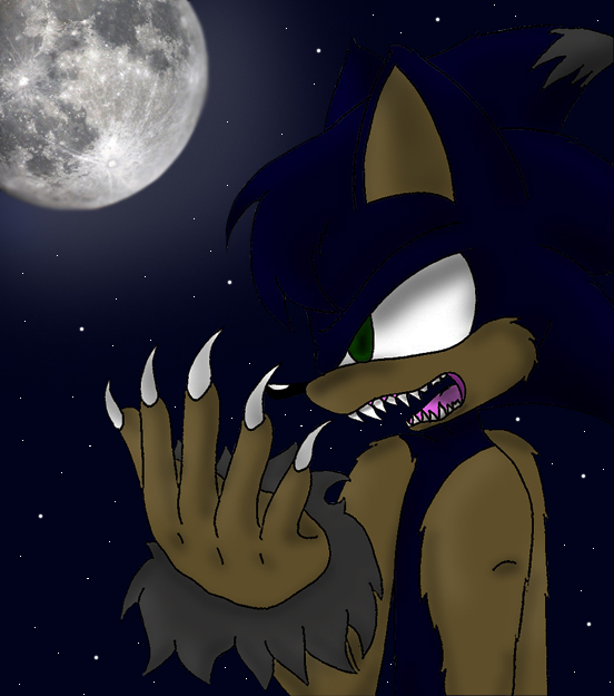 Sonic the Hedgewolf by Melvintomm