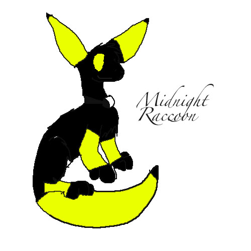 Midnight-Raccoon by Midnight-Raccoon