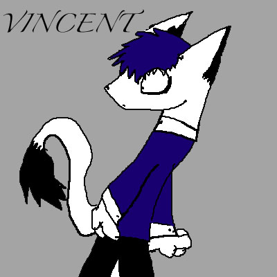 Vincent the Cat by Midnight-Raccoon