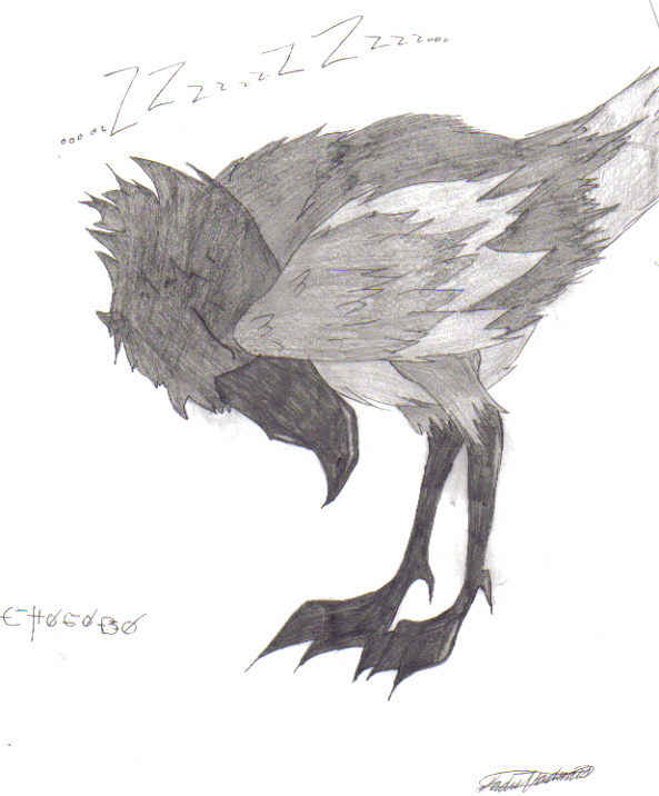 Chocobo by Midnight_Tears