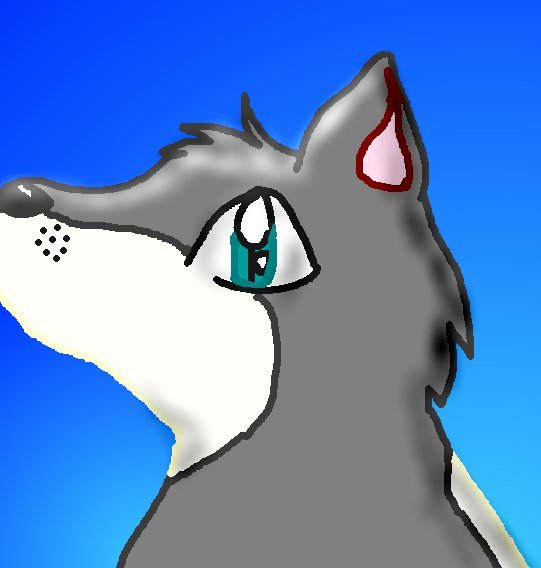 My wolfy pic version 2.0 by Midniterocks