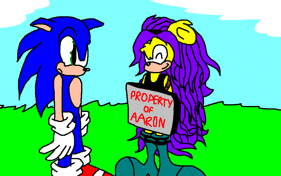 Sonic and Mina by Mightyboy7