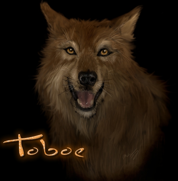 Another Wolf's Rain Drawing:  Toboe by Mik