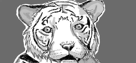 Tiger (Black and White) by MikkiiWerewolfXP