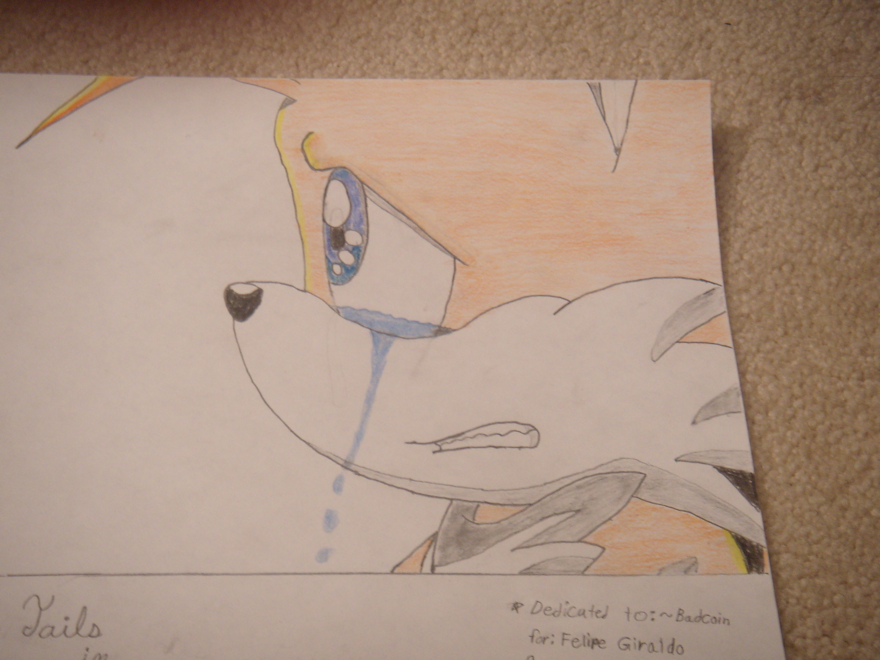 Sad 2 Tailed fox by MilesTailsPrower3