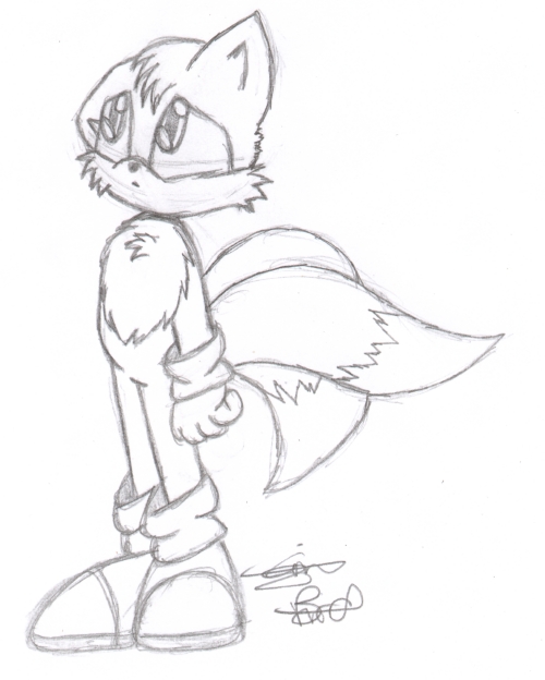 Ma new style of drawing (tails) by MilesTails_Prower