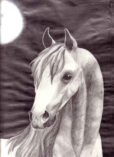Moonlight Horse by Mira