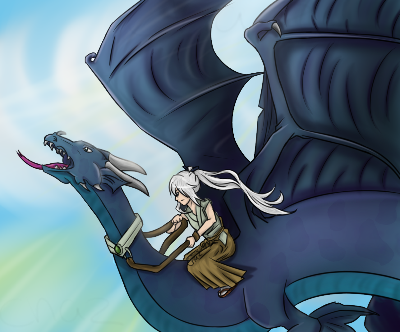 Dragon Rider by Mireniamu