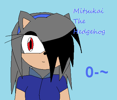 Mitsukai The Hedgehog by MitsukaiTheHedgehog