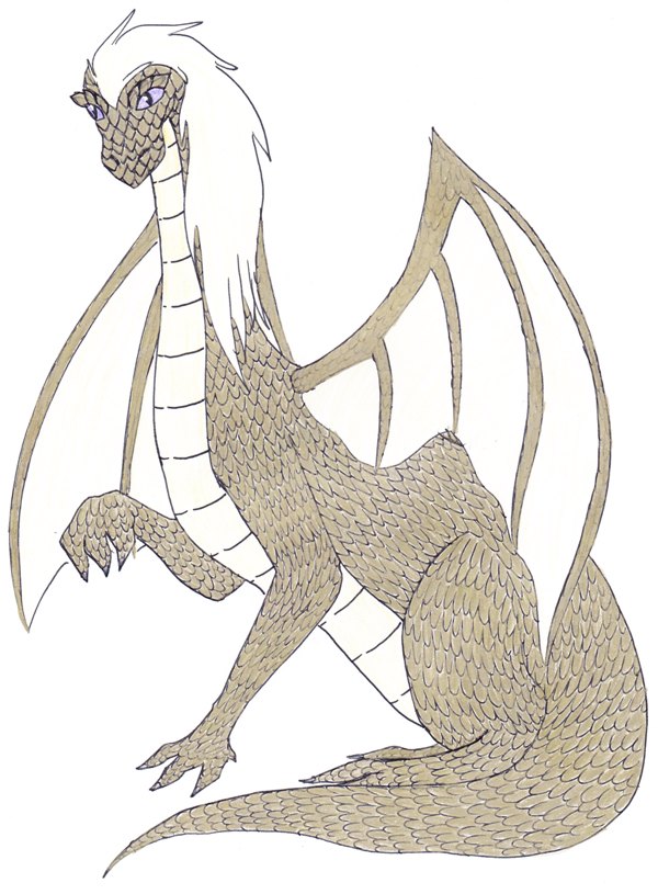 Selendrile Dragon by MomoRyu