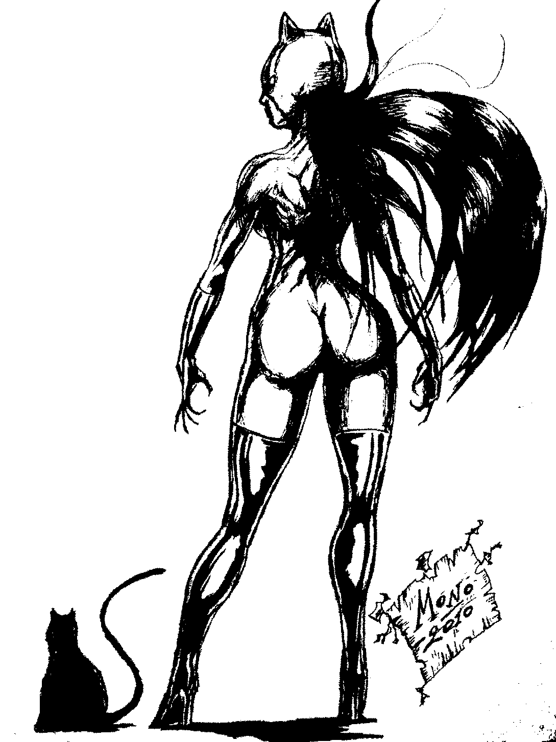 Catwoman by Monkeyman