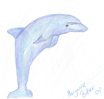 Dolphin by MoonDreamer