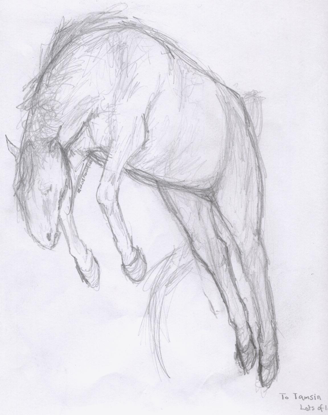 Bucking Horse by MoonWolf2000