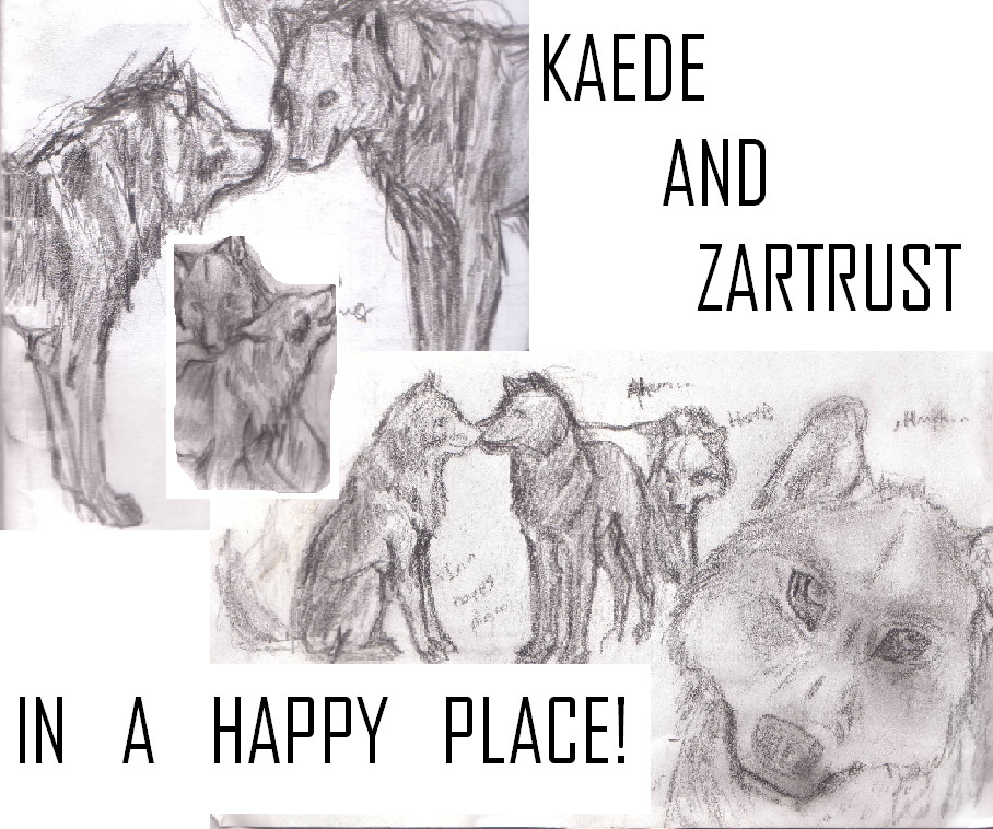 Kaede and Zartrust Montage by MoonWolf2000