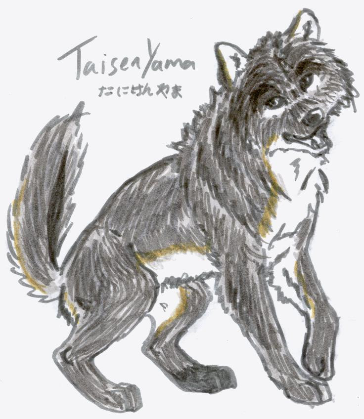 Taisen Yama by MoonWolf2000