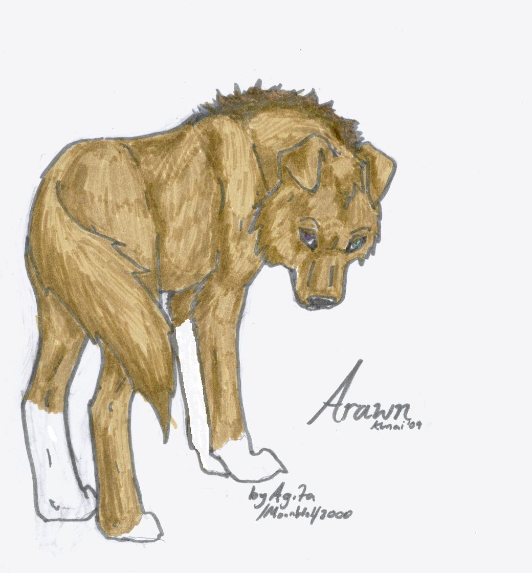 Arawn- request by MoonWolf2000