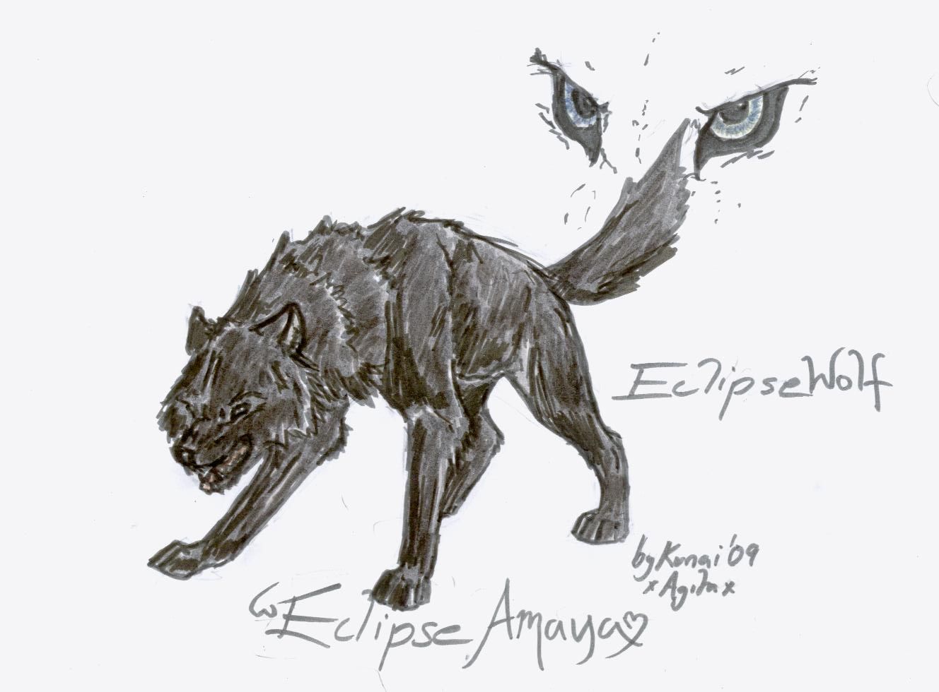 Eclipse Wolf by MoonWolf2000