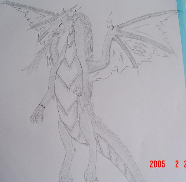 Dragon in Pencil by Moon_Bind