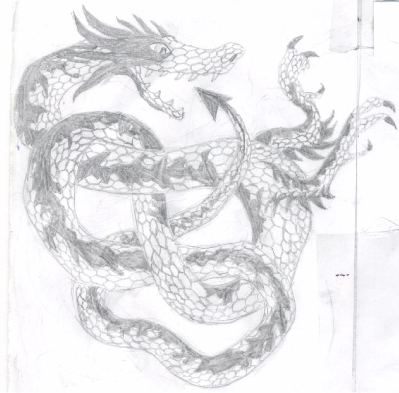 a coiled dragon by Mori