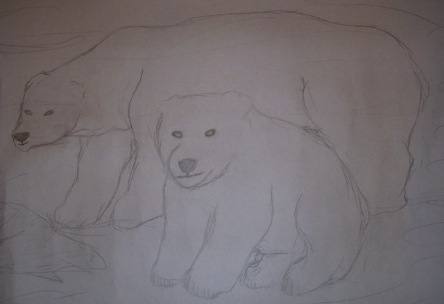 Polar Bears by Morpher