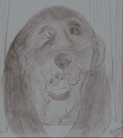 My Loving Dog, Worf by Morpher