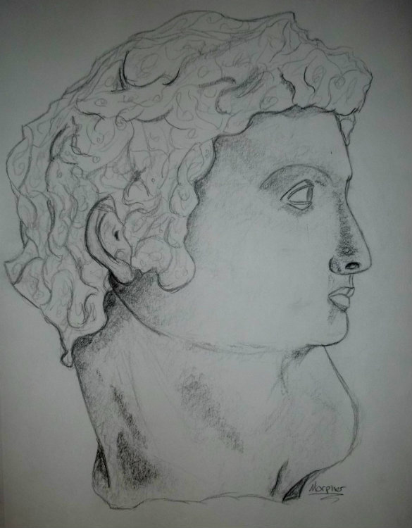 Head Portrait by Morpher