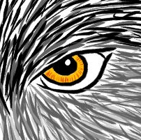 Wolf's Eye by Morpher
