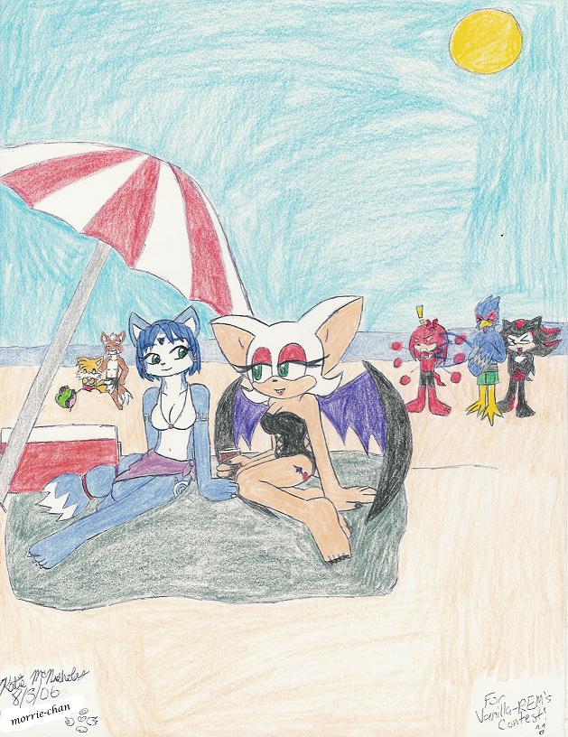 Star Fox + Sonic + Beach by Morrie-chan