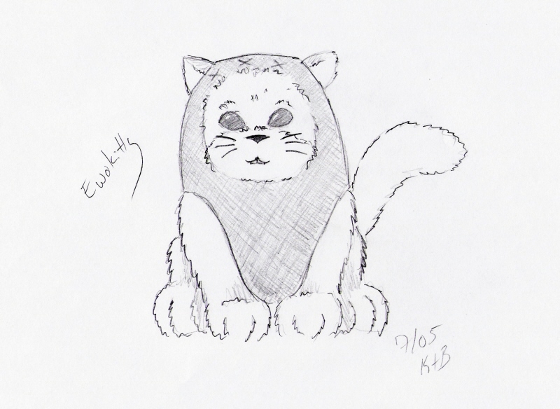 *Star Whiskers* #7 Ewokitty by MountainLilly