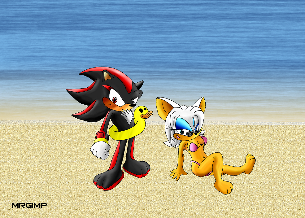 Shadow and Rouge at the beach!! by MrGimp