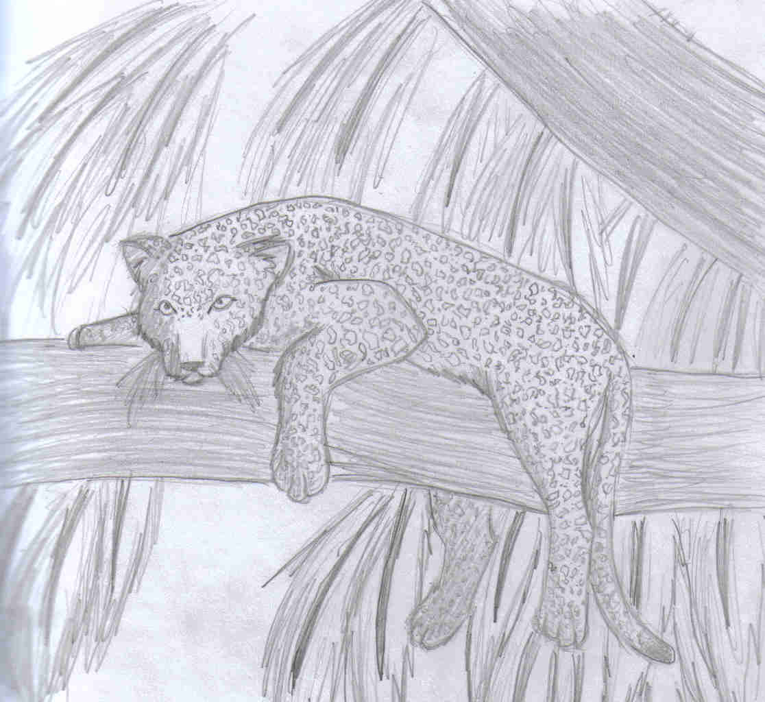 leopard in a tree by MrMoony