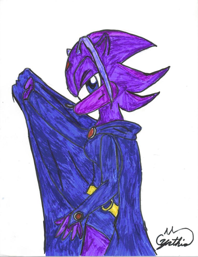 Raven Sonic Style by MrsRoronoaZoro